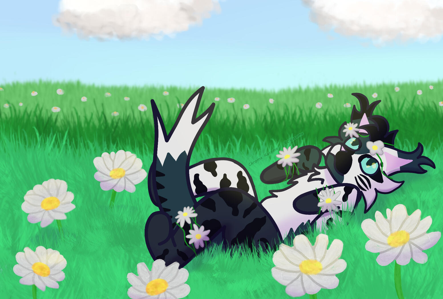 Wildstar in a Daisy Field Wildstar in a Daisy Field